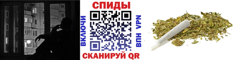 KRAKEN   Биробиджан  БУТИРАТ BDO 