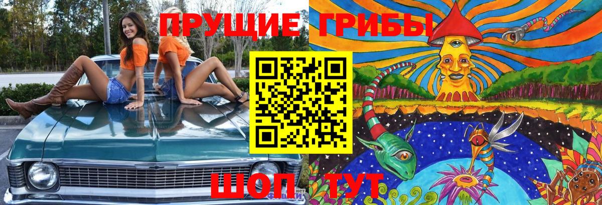 Галлюциногенные грибы Psilocybe Биробиджан