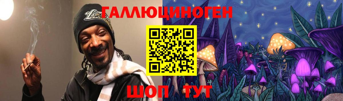 Биробиджан  Псилоцибиновые грибы Cubensis  Вход с VPN 